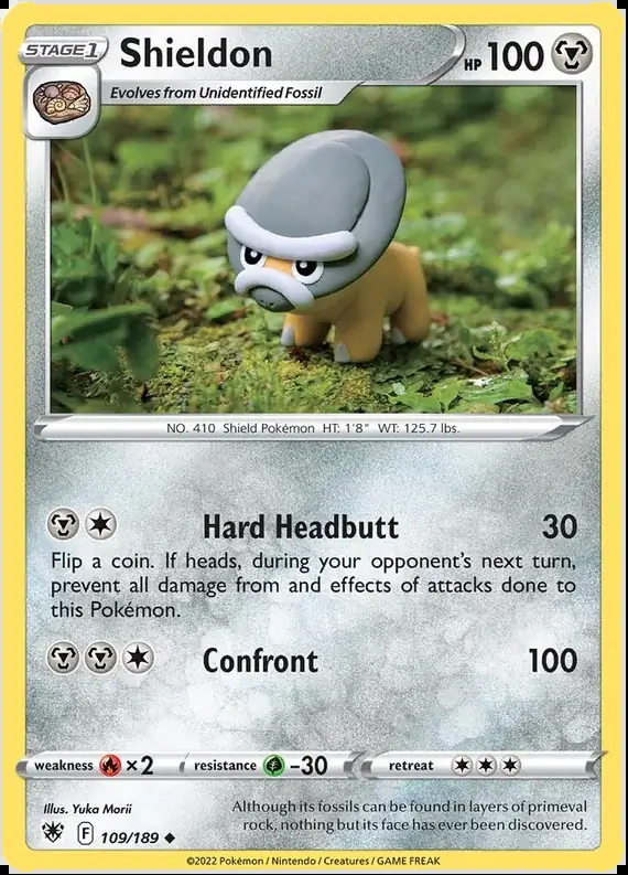 Shieldon