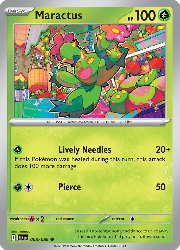 Maractus