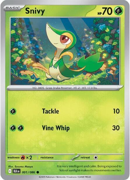 Snivy Holofoil