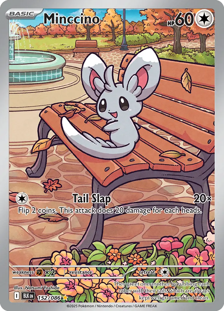 Minccino