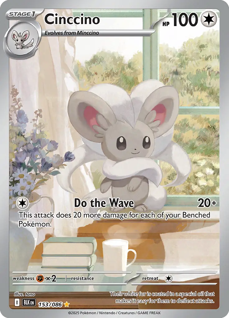 Cinccino
