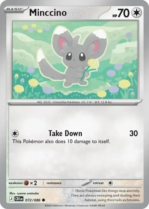 Minccino