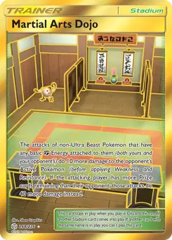 Martial Arts Dojo Secret