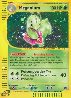 Meganium Holo