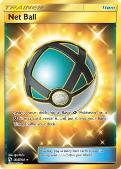 Net Ball Secret