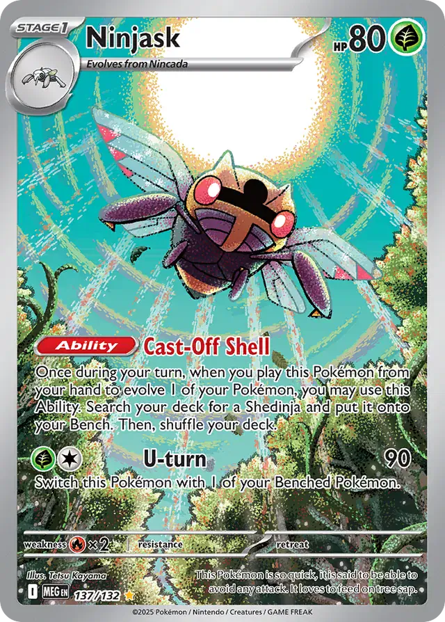 Ninjask