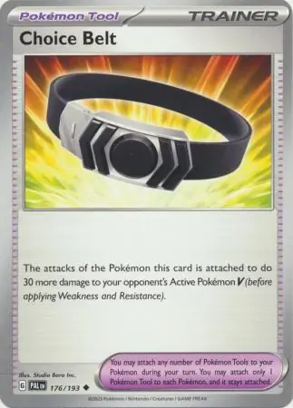 Choice Belt