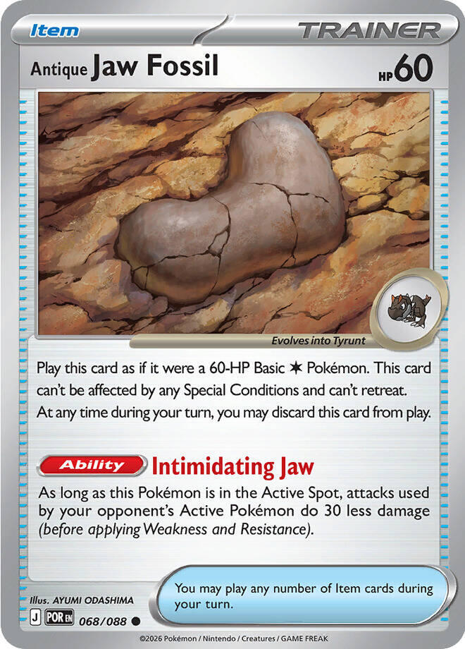 Antique Jaw Fossil Reverse Holofoil
