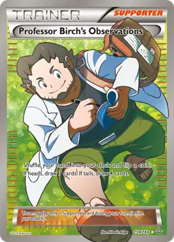 Full Art Professor Birch's Observations