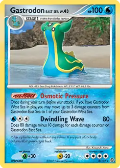 Gastrodon East Sea Holo