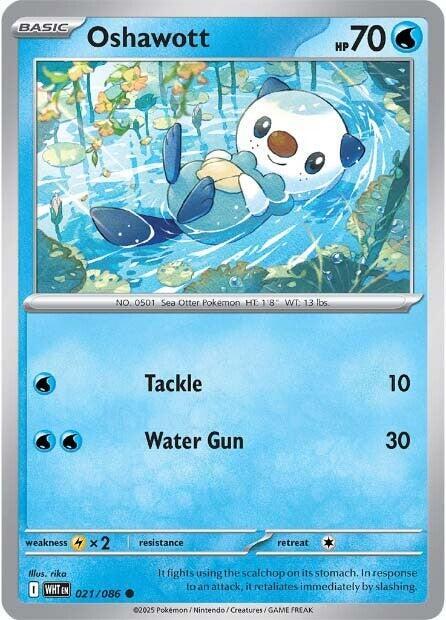 Oshawott Holofoil