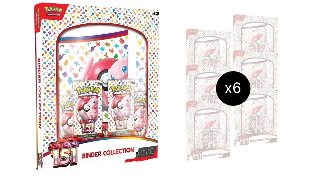 151 Binder Collection Case