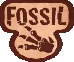 Fossil 1st Edition